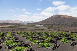Lanzarote Uncovered: Your Essential Travel Guide to the Stunning Canary Islands Destination