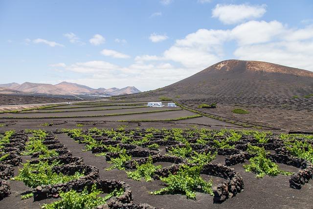 Lanzarote Uncovered: Your Essential Travel Guide to the Stunning Canary Islands Destination
